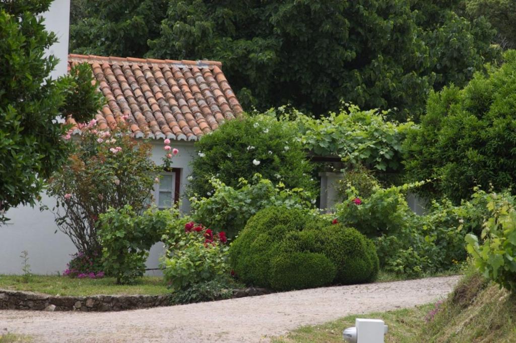Quinta Da Saimeira มาร์เวา ภายนอก รูปภาพ