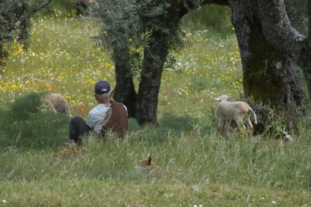 Quinta Da Saimeira มาร์เวา ภายนอก รูปภาพ
